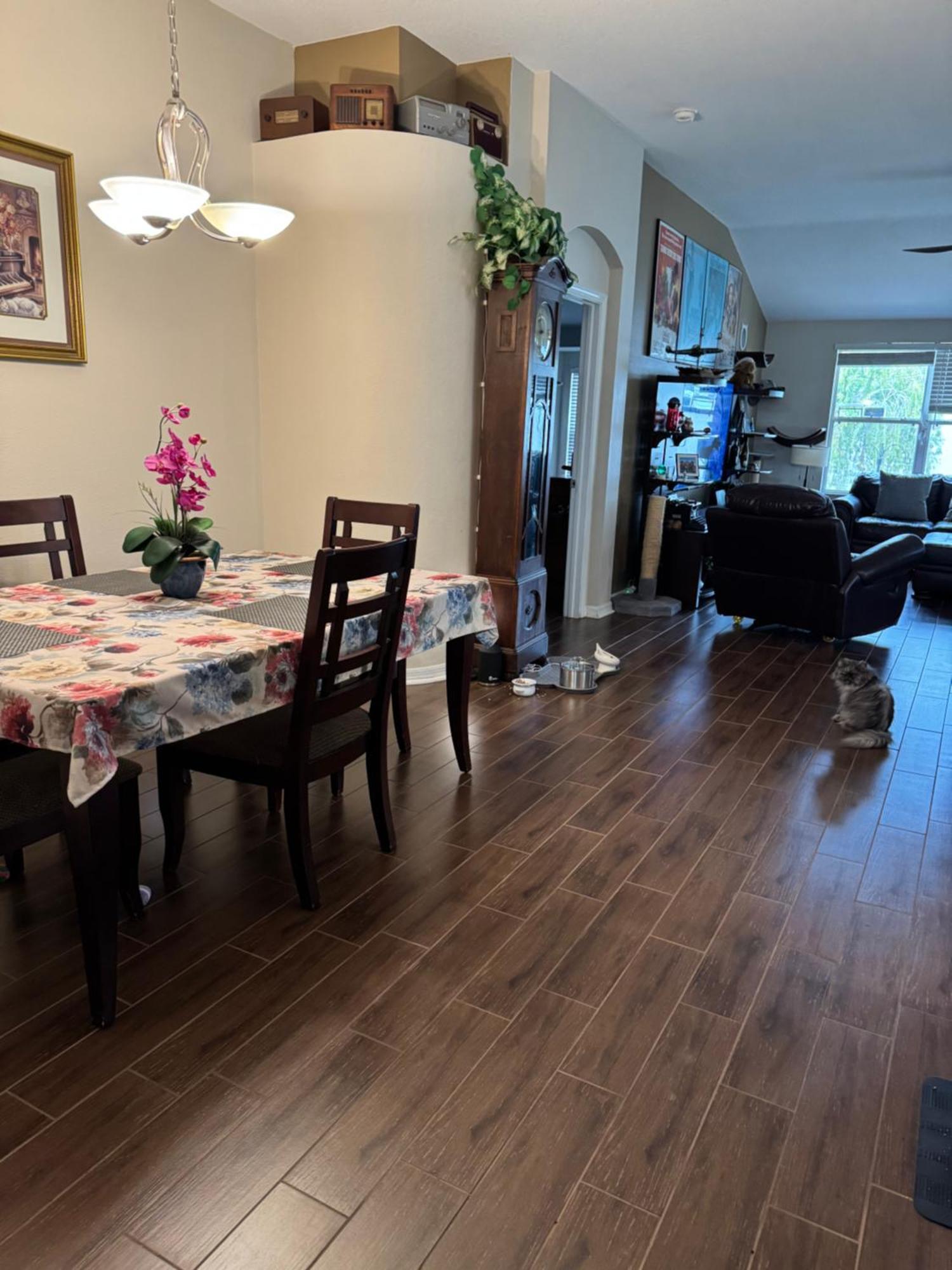 Ruskin Fl Private 2 Bdrm 1 Bath Suite Common Areas Shared With Host And Cat Exteriér fotografie